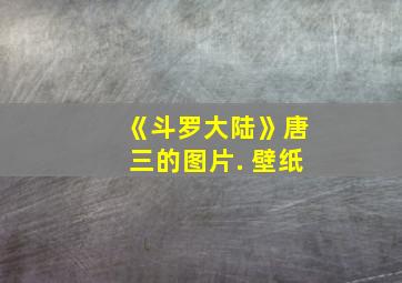 《斗罗大陆》唐三的图片. 壁纸